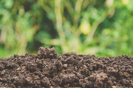 you won't find better quality top soil at a better price