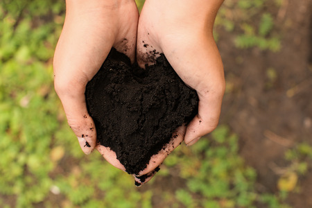 top soil compost and manure supplier near you