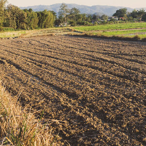 top soil in bulk